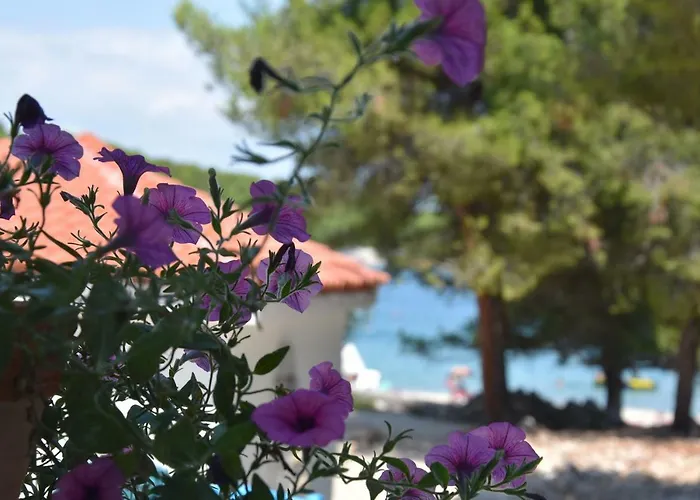 营地 Levantara 耶泽拉